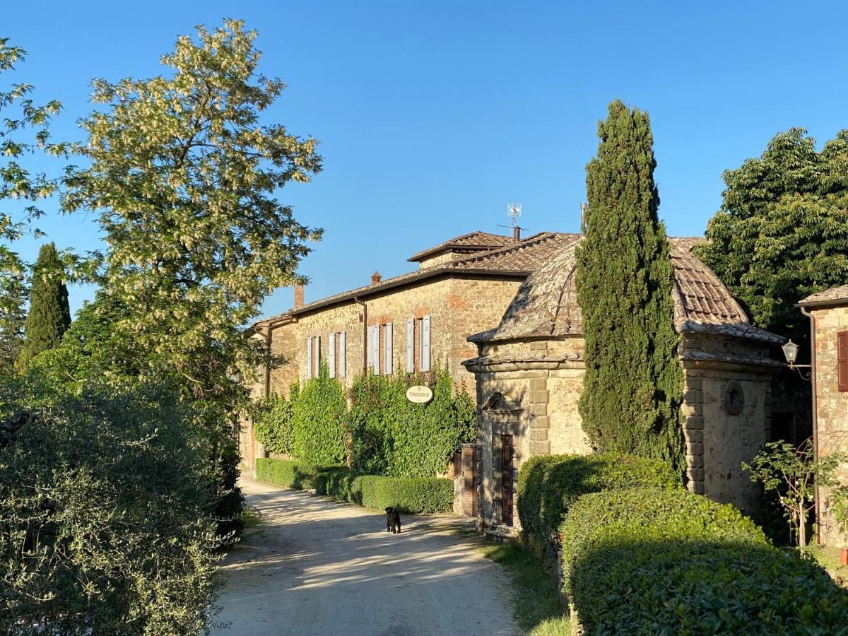 Tregole Apartment Castellina in Chianti Exterior photo